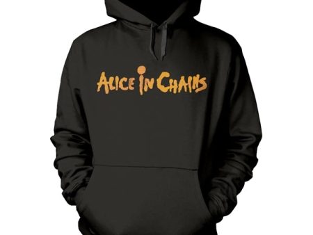 Alice In Chains - Dirt Hoodie Sale