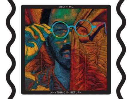 Toro Y Moi - Anything In Return (2LP) Online