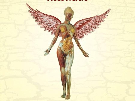 Nirvana - In Utero: 30th Anniversary (5CD) Online now