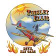 Tinsley Ellis - Devil May Care For Cheap